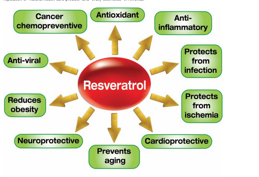 resveratrol CAS NO501360 factory supply with good quality