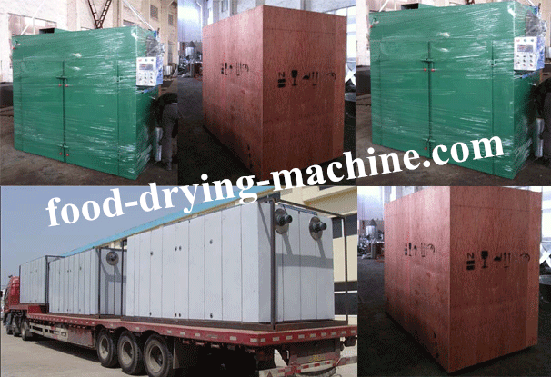 Double door hot air circulation drying oven