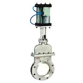 Pneumatic gate valve