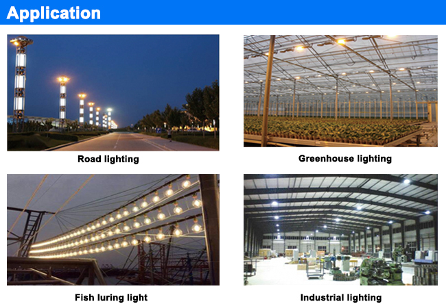 400W electronic digital ballast for street lighting