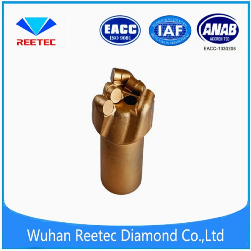 waterwell PDC bit
