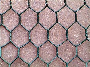 Hexagonal Mesh