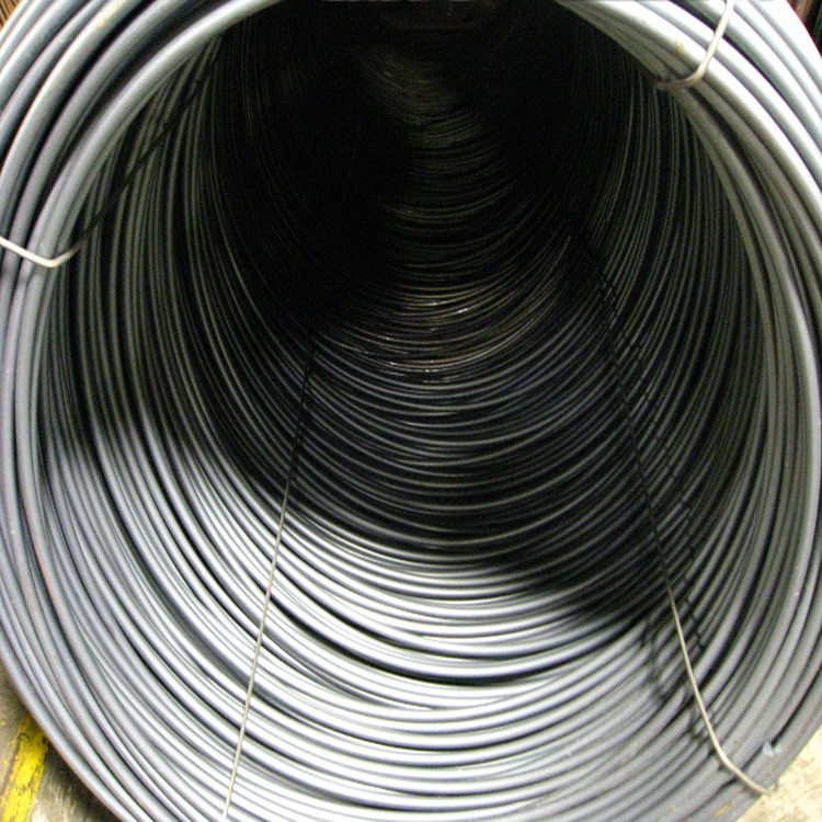 Competitive Price Steel Wire Coil