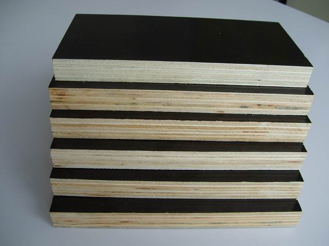 18mm balck film faced plywood for kuwait market