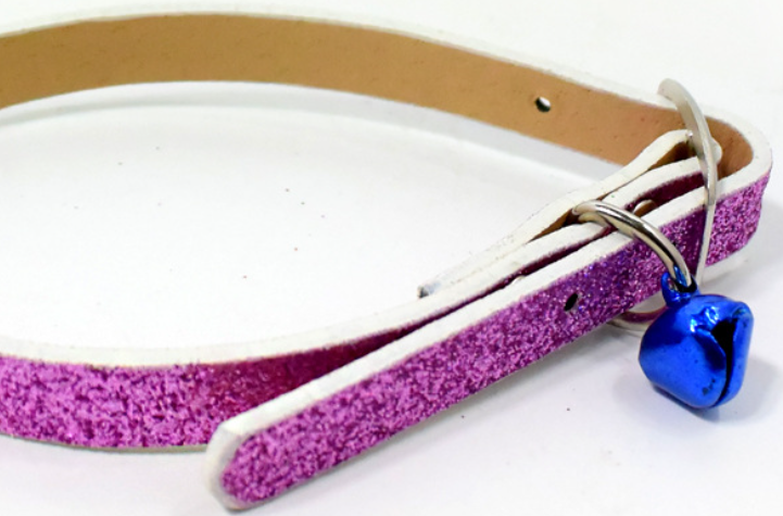 pet products PET Collar and Leash PET Collars PET Leashes Flash PET Collar PET Collars