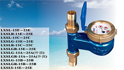 Rotary vane pointer water meter