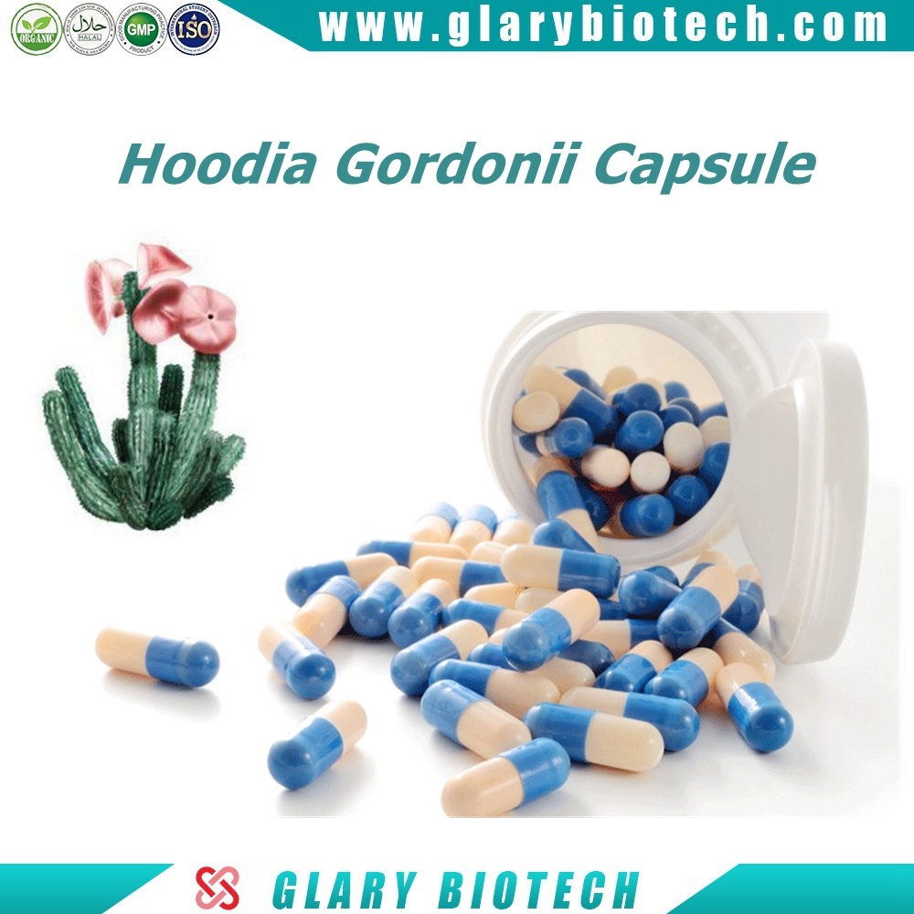 Hoodia Gordonii Capsule 500mg for body slimming losing weight