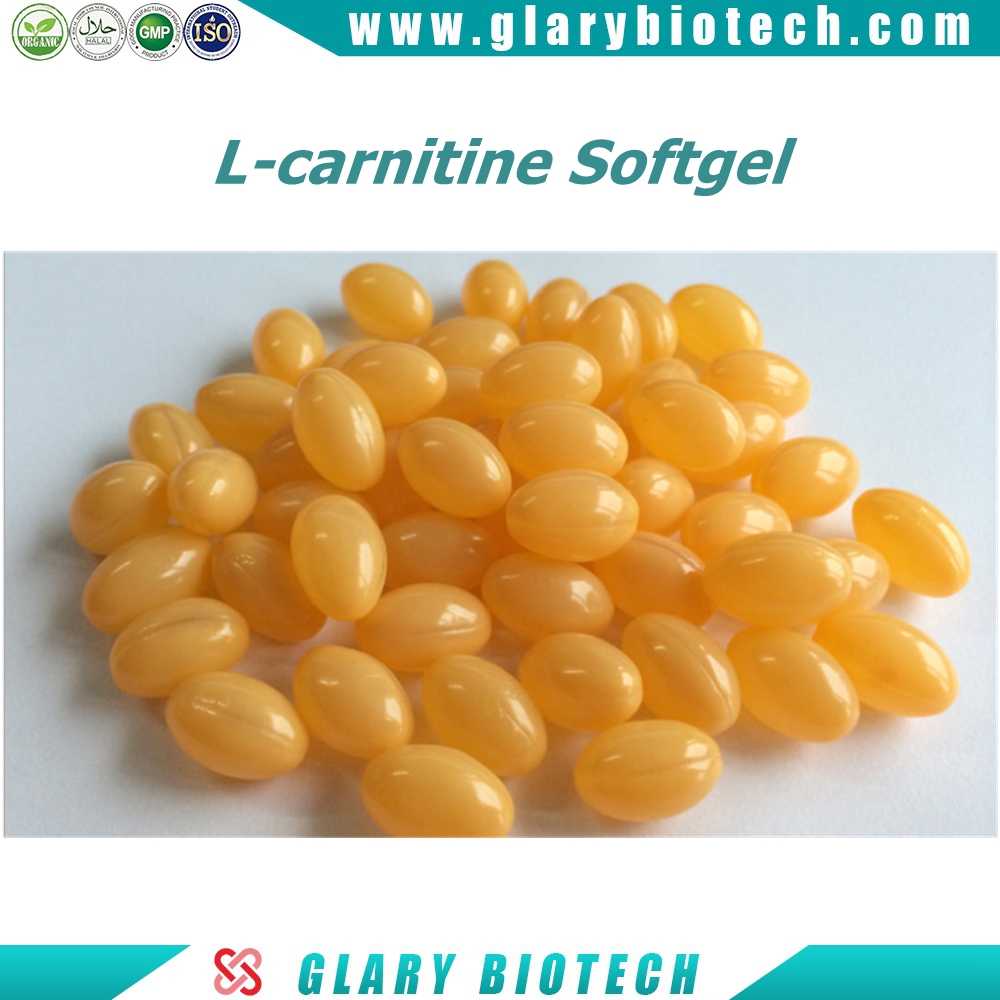 Lcarnitine softgel 500mg for body slimming losing weight