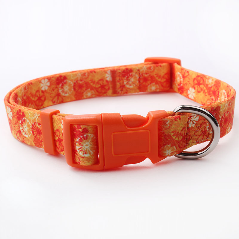 2017 personalized custom dog collar with heat transfer printed