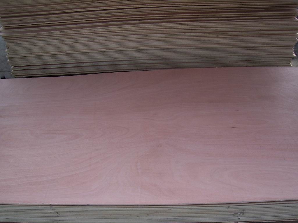 1220x2440 Bintangor plywood poplar core for packing