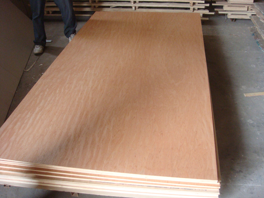 1220x2440x18mm Bintangor Plywood with poplar core e1 glue