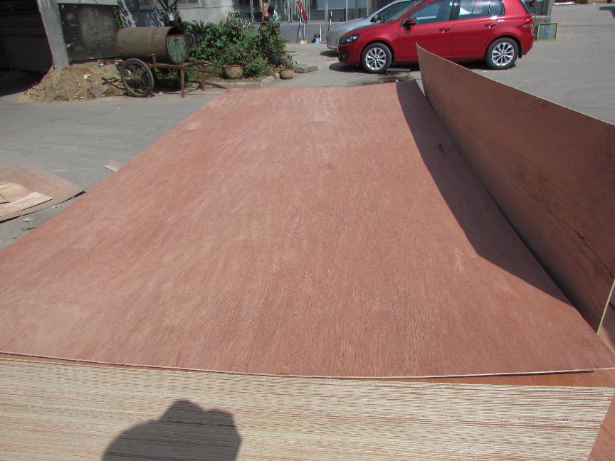 High quality okoume Bingtagopoplarbirch commercial plywood