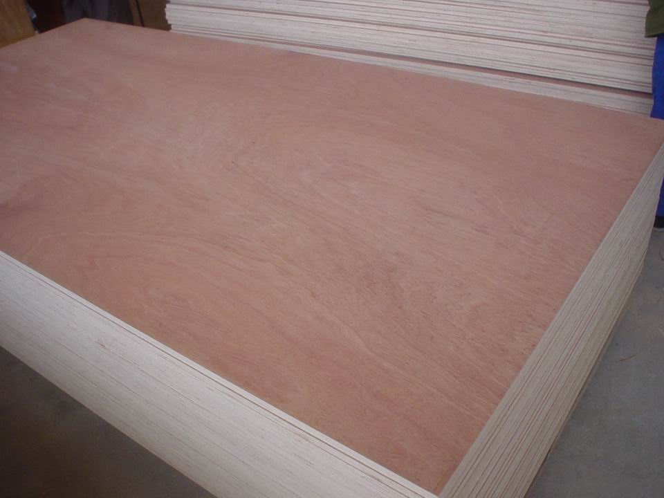 1220x2440x18mm Okoume Plywood Poplar core for construction to middle est countries