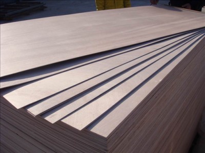 1220x2440x18mm bintangor plywood poplar core for furniture