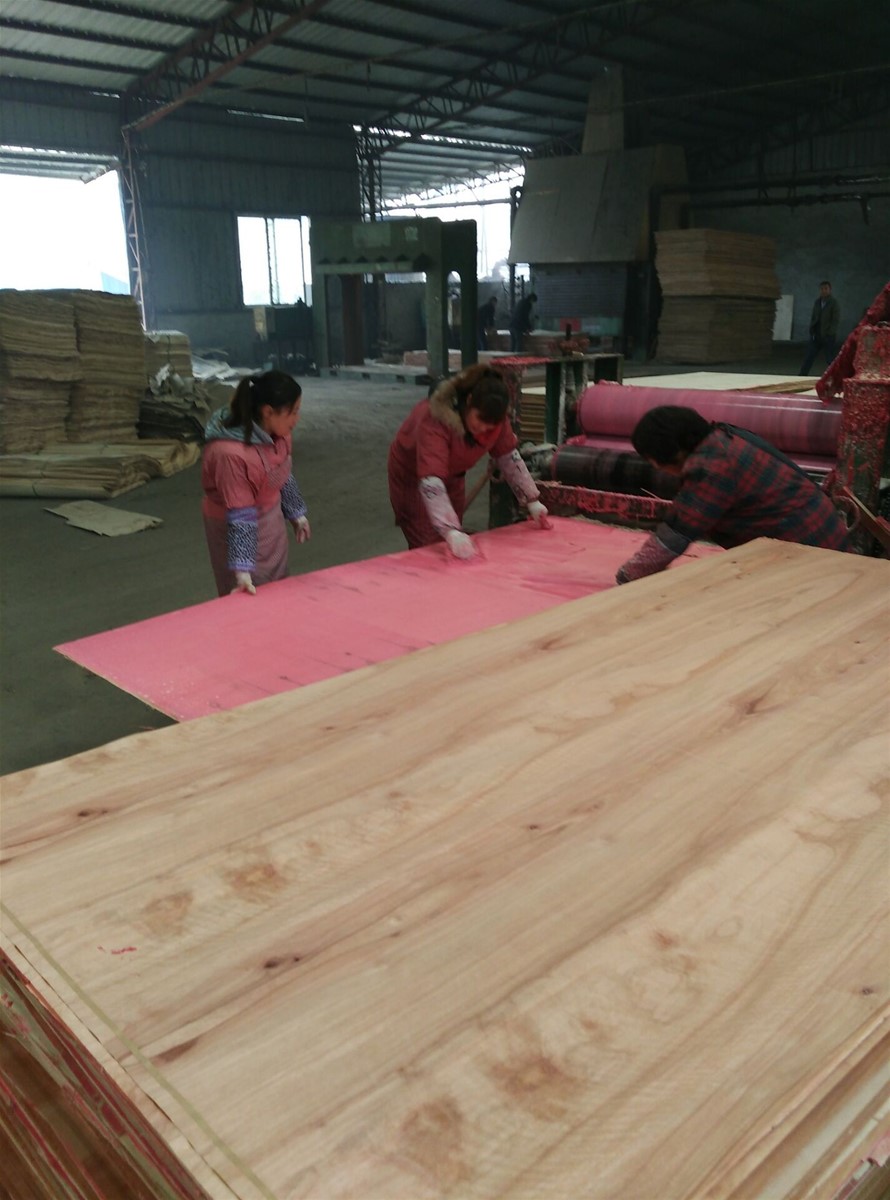 PACKING PLYWOOD Furniture Plywood Construction Plywood