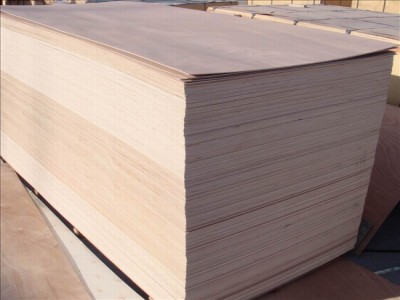 1220x2440x18mm Okoume Plywood Poplar core for construction to middle est countries