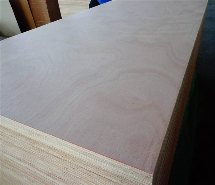 1220x2440x18mm bintangor plywood poplar core for furniture