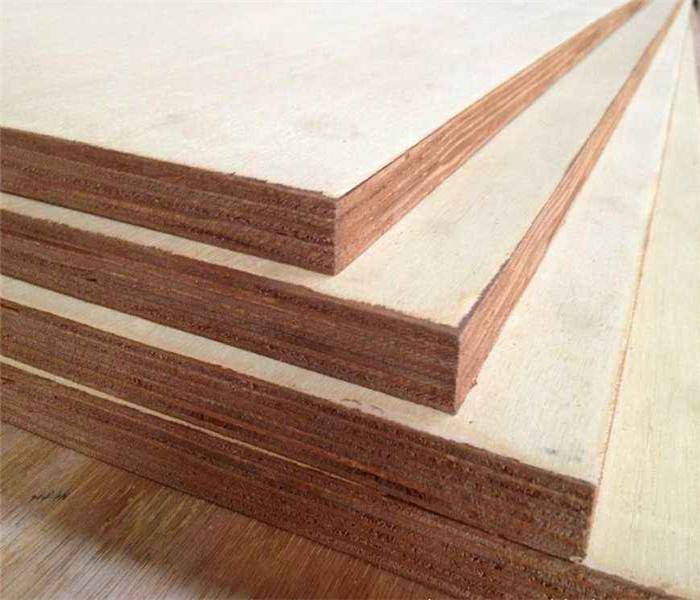 18mm Bintangor Plywood poplar core for PackingFurnitureConstruction