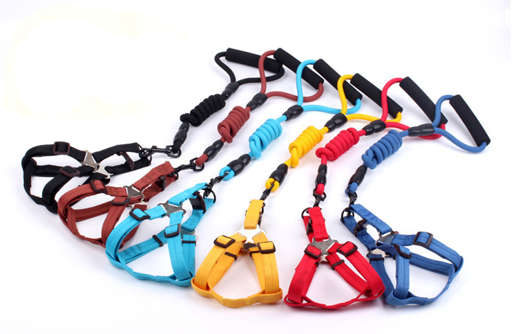 pet collar and leash pet leash pet leashes pet colorful nylon belt dog leash