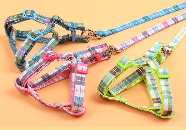 Pet Collars Leash Dog Cat PU Collars COLLARS LEASH lattice