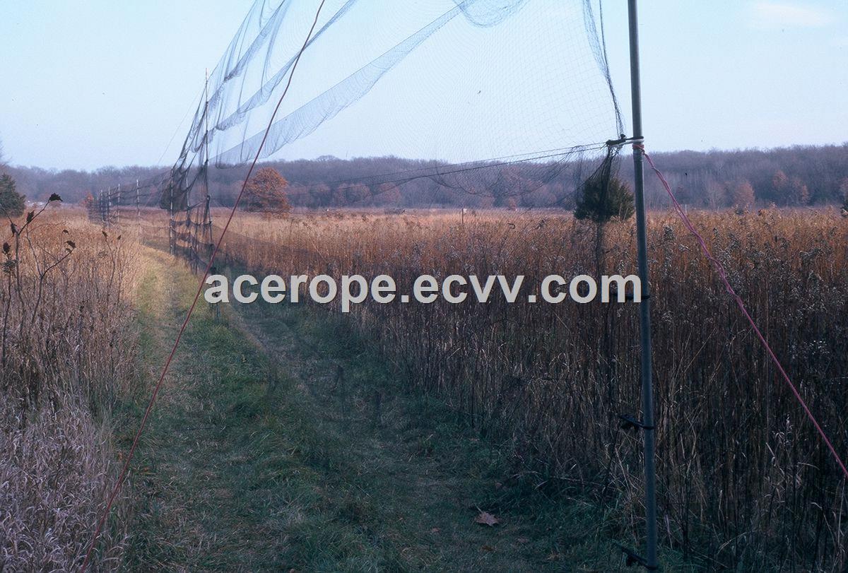 Mist Net for OWLS