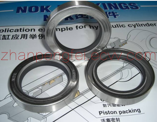 oil sealoil ringNOK SEALS