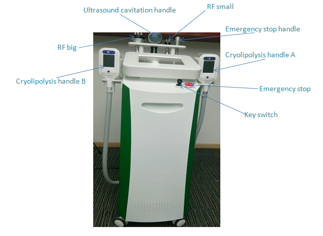 Cryolipolysis Body Slimming Machine NBWC325B