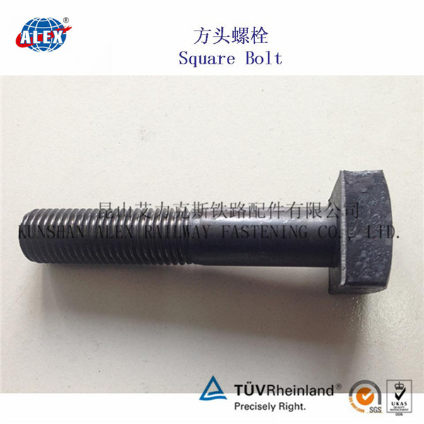 Square BoltSquare Head Bolt Anchor Bolt