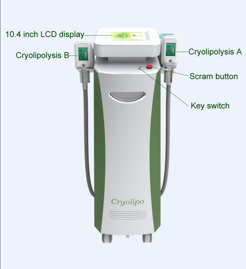 Cryolipolysis Slimming EquipmentNBWC122