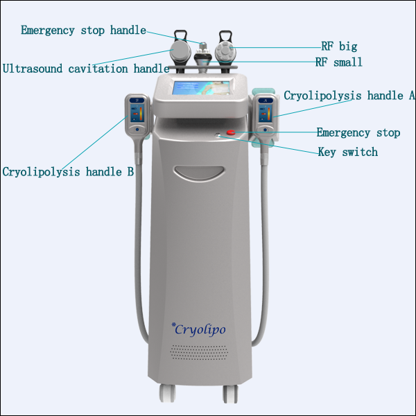 Cryolipolysis fat freeze Slimming MachineNBWC325