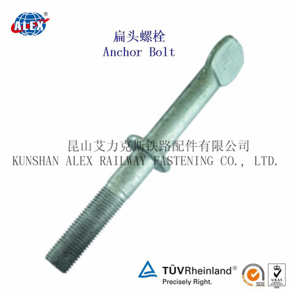 Anchor Bolts