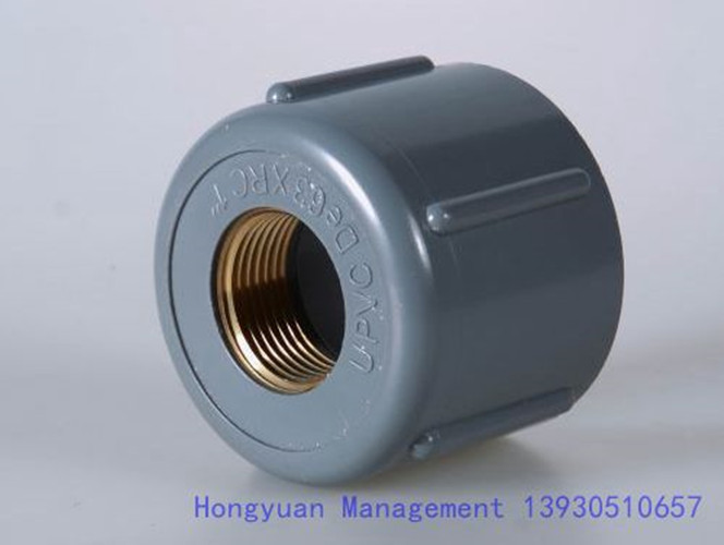 Plastic PVC Pipe Plug with Copper Threaded Inside