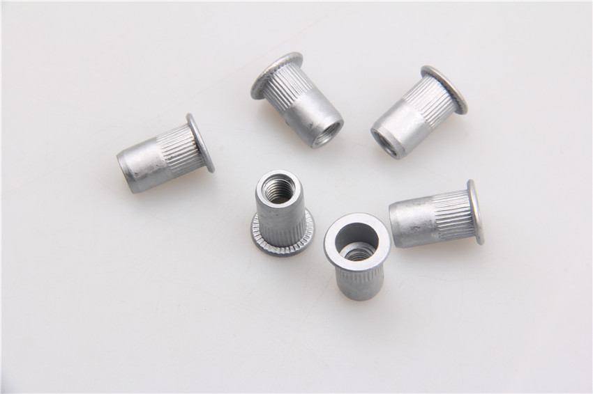 HighQuality Aluminum/Stainless Steel Blind Rivets Nut from China