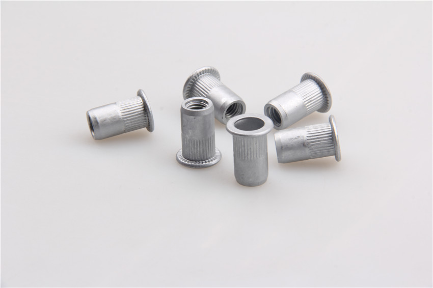 Highquality aluminumstainless steel blind rivets nut