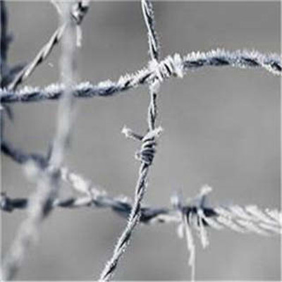 Hotdip Zinc Plating Barbed Wire