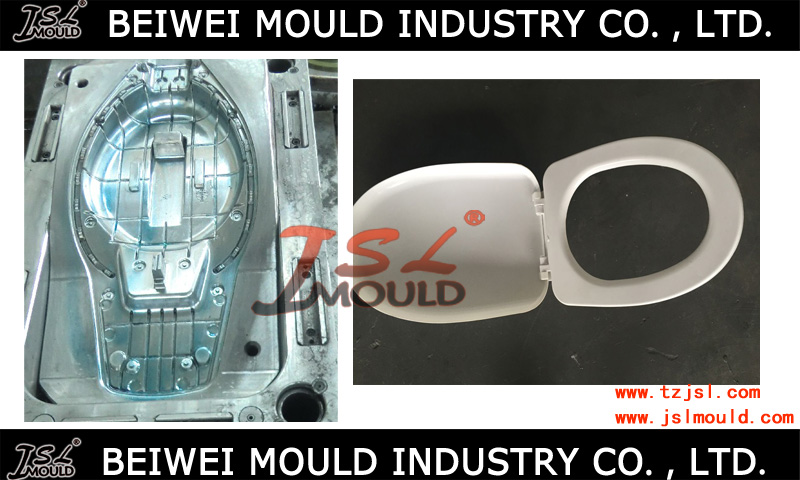 China Custom Toilet Seat Cover Injection Mold