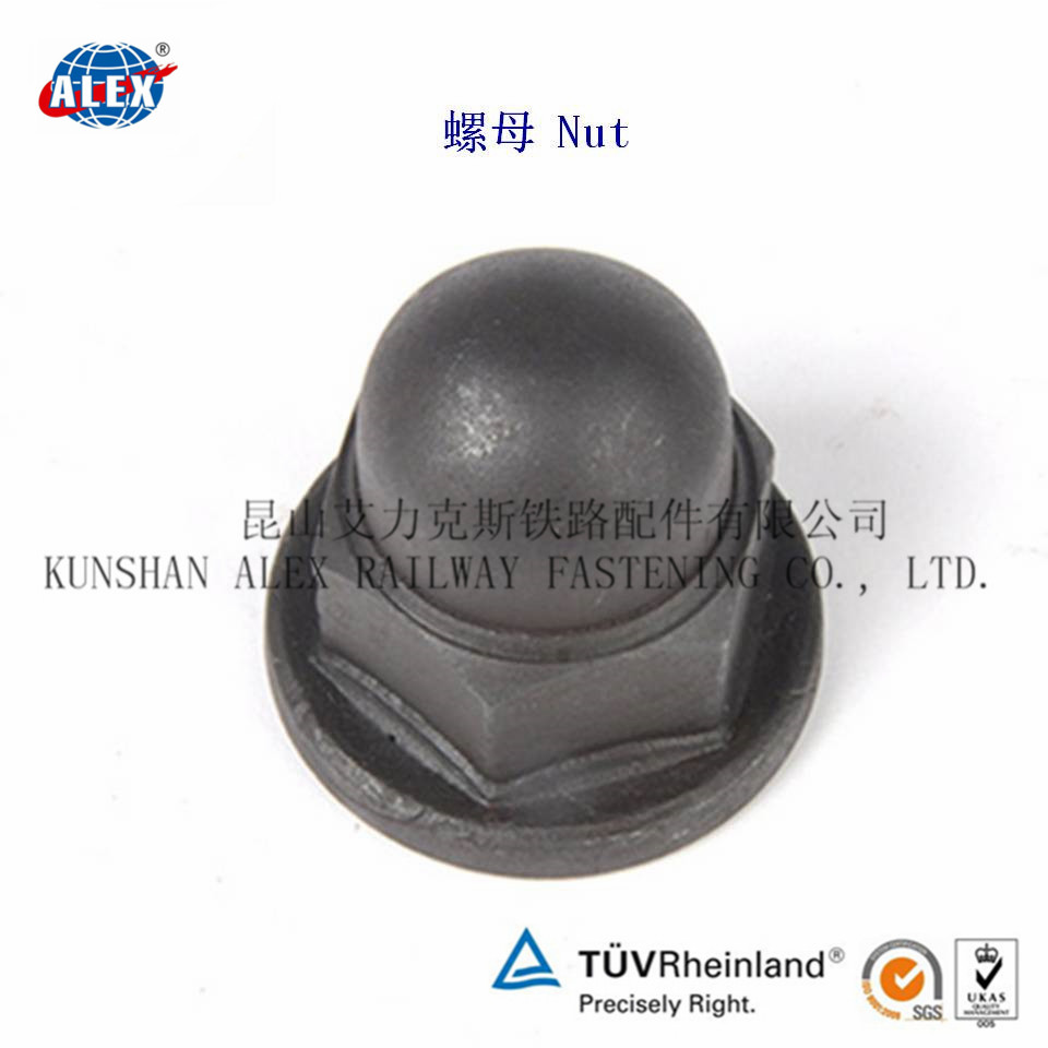 Cap NutDomed Cap NutDome Nut