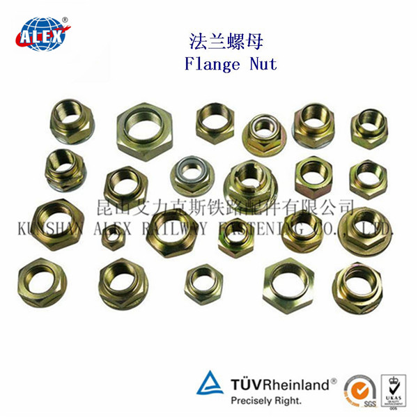 Flange NutHex Flange NutLock Nut
