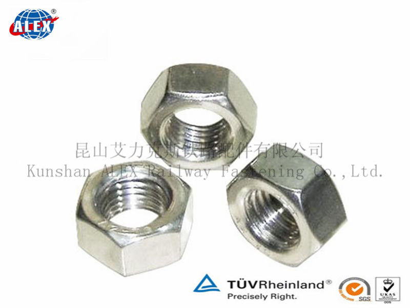 Hex NutHexagon Nut Hex Head Nut