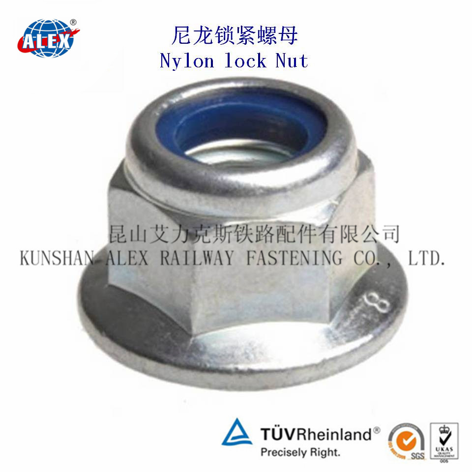 Nylon Lock NutNylon Insert Lock Nut Nylon NutLock Nut