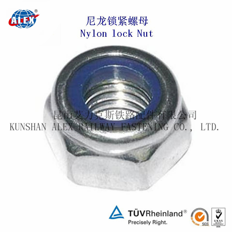 Nylon Lock NutNylon Insert Lock Nut Nylon NutLock Nut