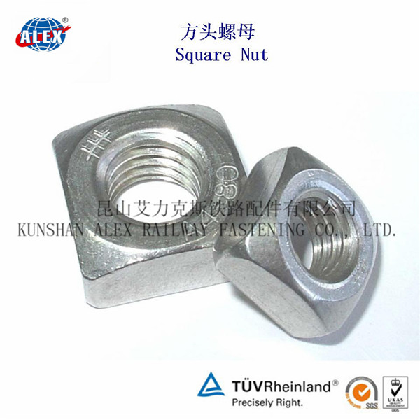 Square Head NutSquare NutSquare Flange Nut