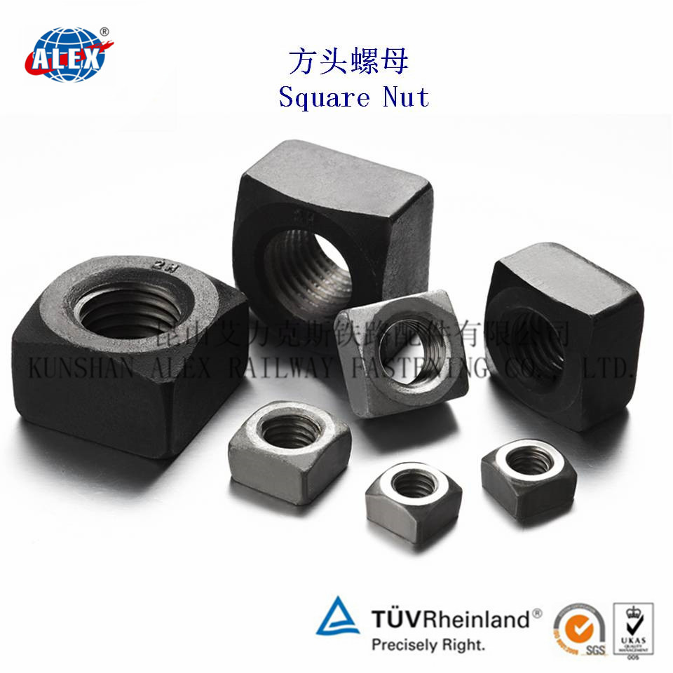 Square Head NutSquare NutSquare Flange Nut