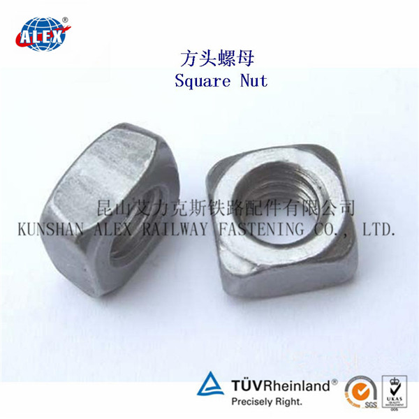 Square Head NutSquare NutSquare Flange Nut