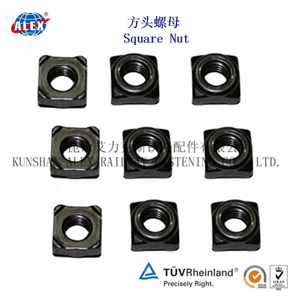 Square NutSquare Head NutSquare Flange Nut