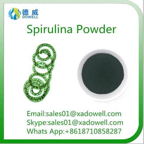 Factory Supply 100 Natural Extract Powder of Organic Spirulina