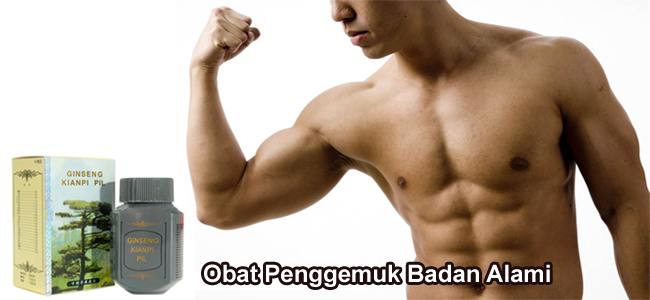 OBAT PENGGEMUK BADAN HERBAL ALAMI GINGSENG KIANPI PIL