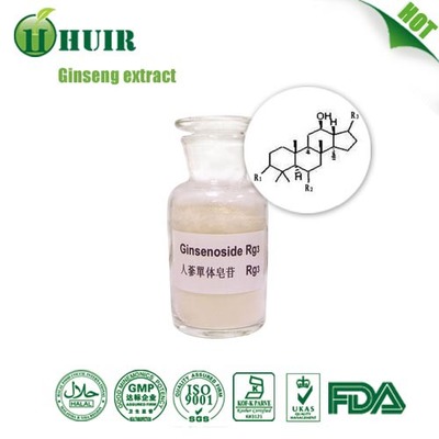 Best quality nature ginseng extract with Ginsenoside