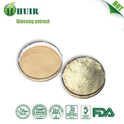 Best quality nature ginseng extract with Ginsenoside