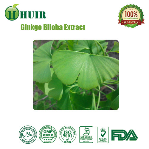High quality Ginkgo Biloba leaf Extract 24 Flavonoides 6 lactone